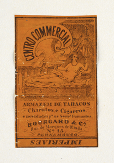 vizualizar o documento on line